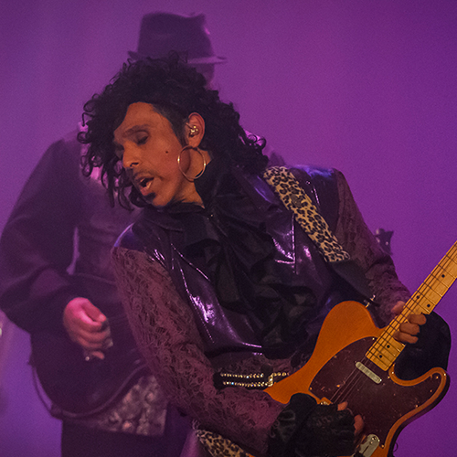 More Info for The Prince Experience